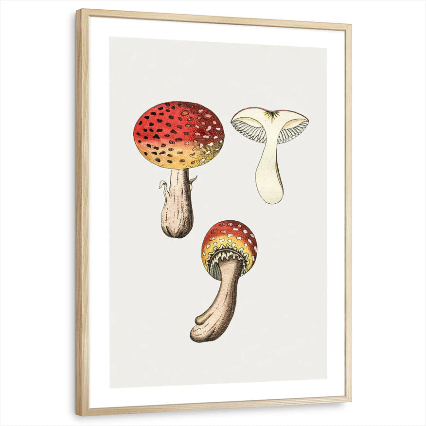 framed-print-natural-wood-white-border