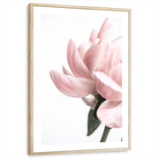 framed-print-natural-wood-white-border