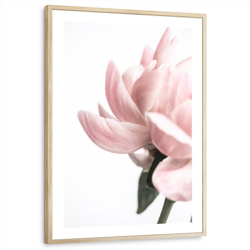 framed-print-natural-wood-white-border