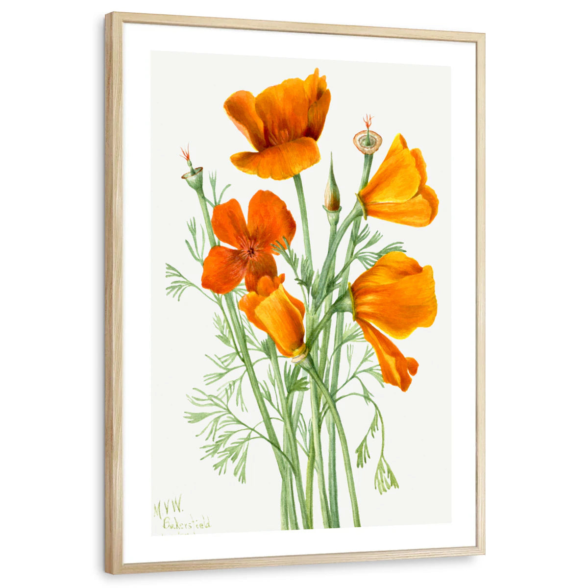 framed-print-natural-wood-white-border