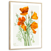 framed-print-natural-wood-white-border