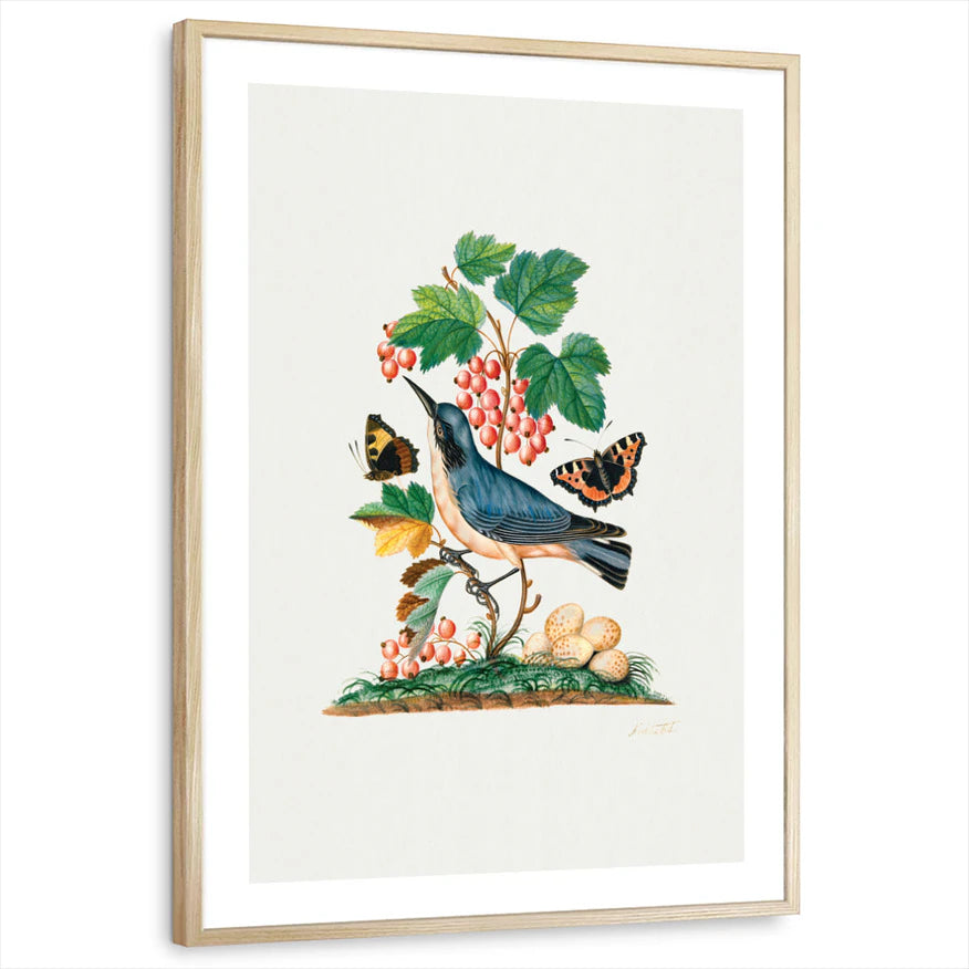 framed-print-natural-wood-white-border