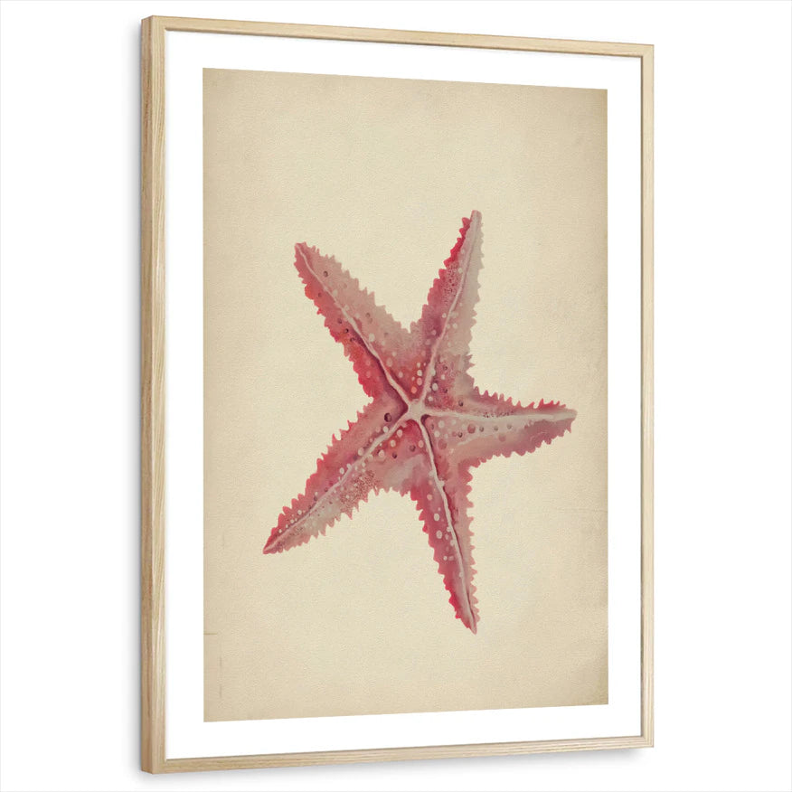 framed-print-natural-wood-white-border