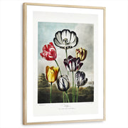 framed-print-natural-wood-white-border