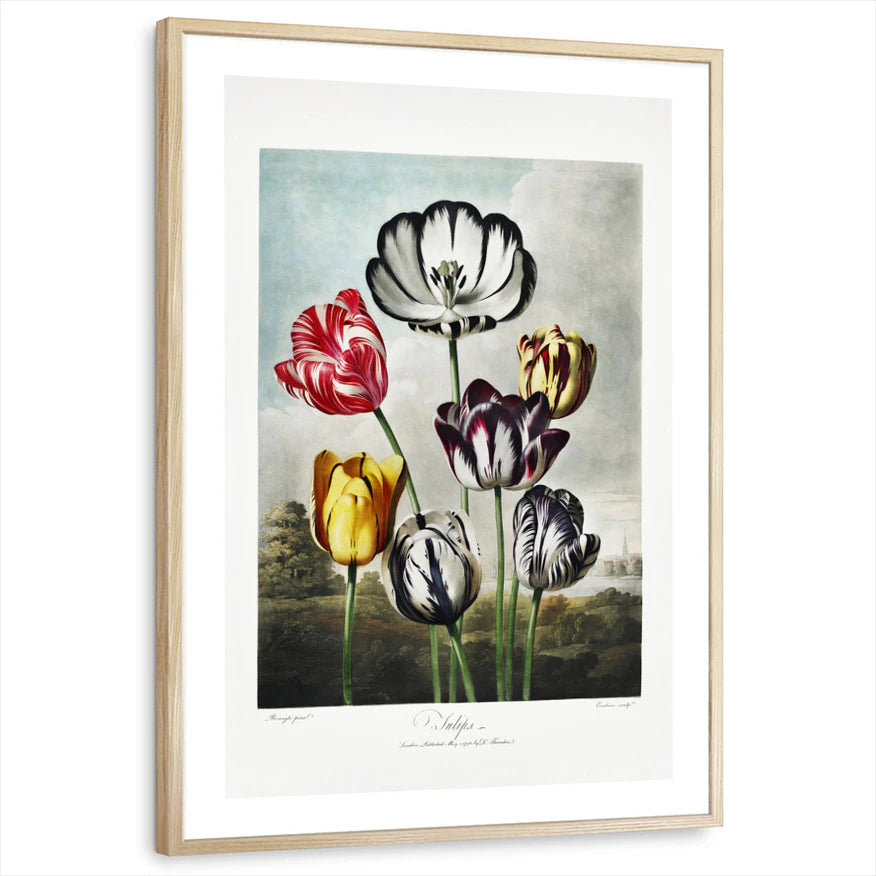 framed-print-natural-wood-white-border