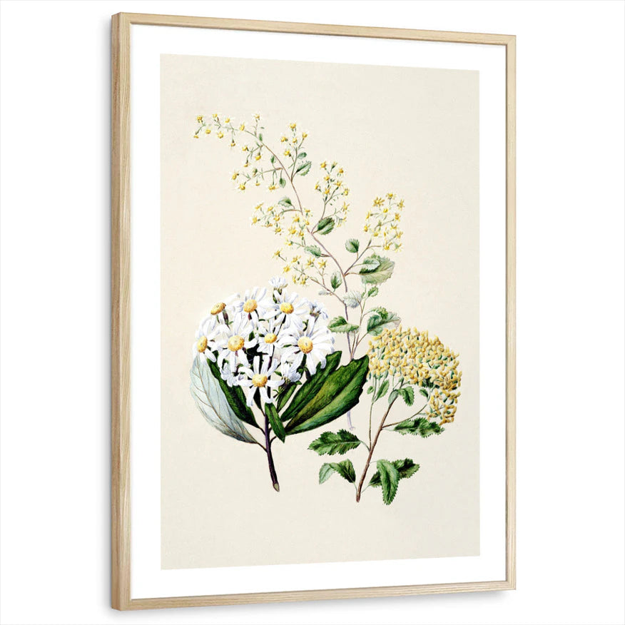 framed-print-natural-wood-white-border