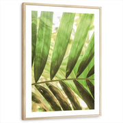 framed-print-natural-wood-white-border