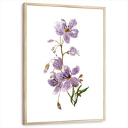 framed-print-natural-wood-white-border