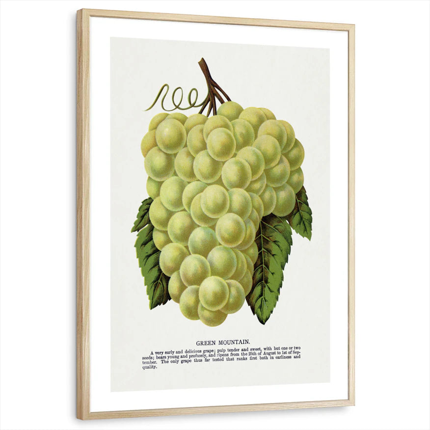 framed-print-natural-wood-white-border