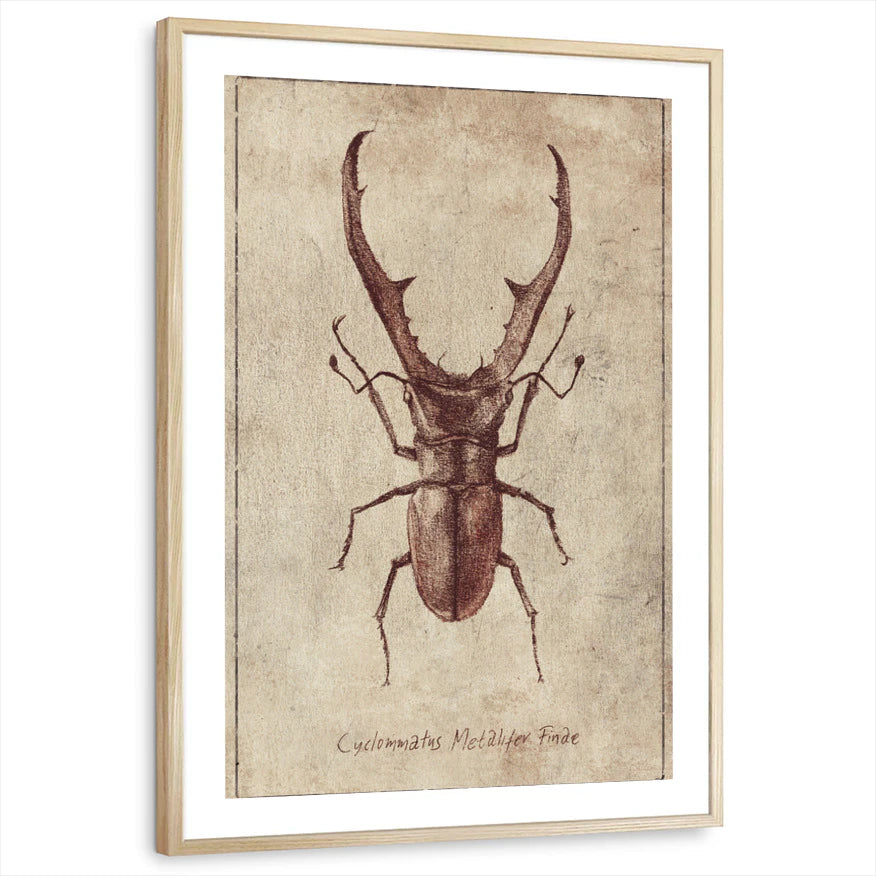 framed-print-natural-wood-white-border