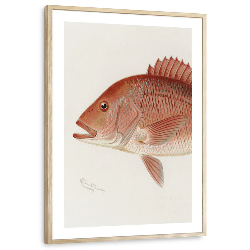 framed-print-natural-wood-white-border