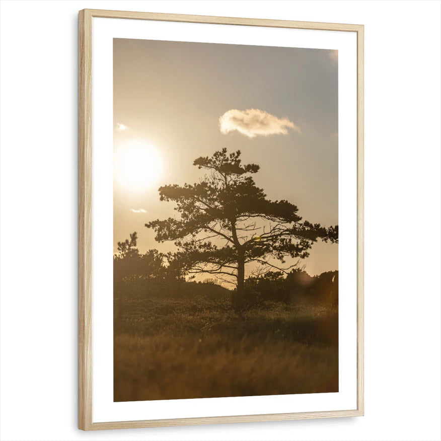 framed-print-natural-wood-white-border