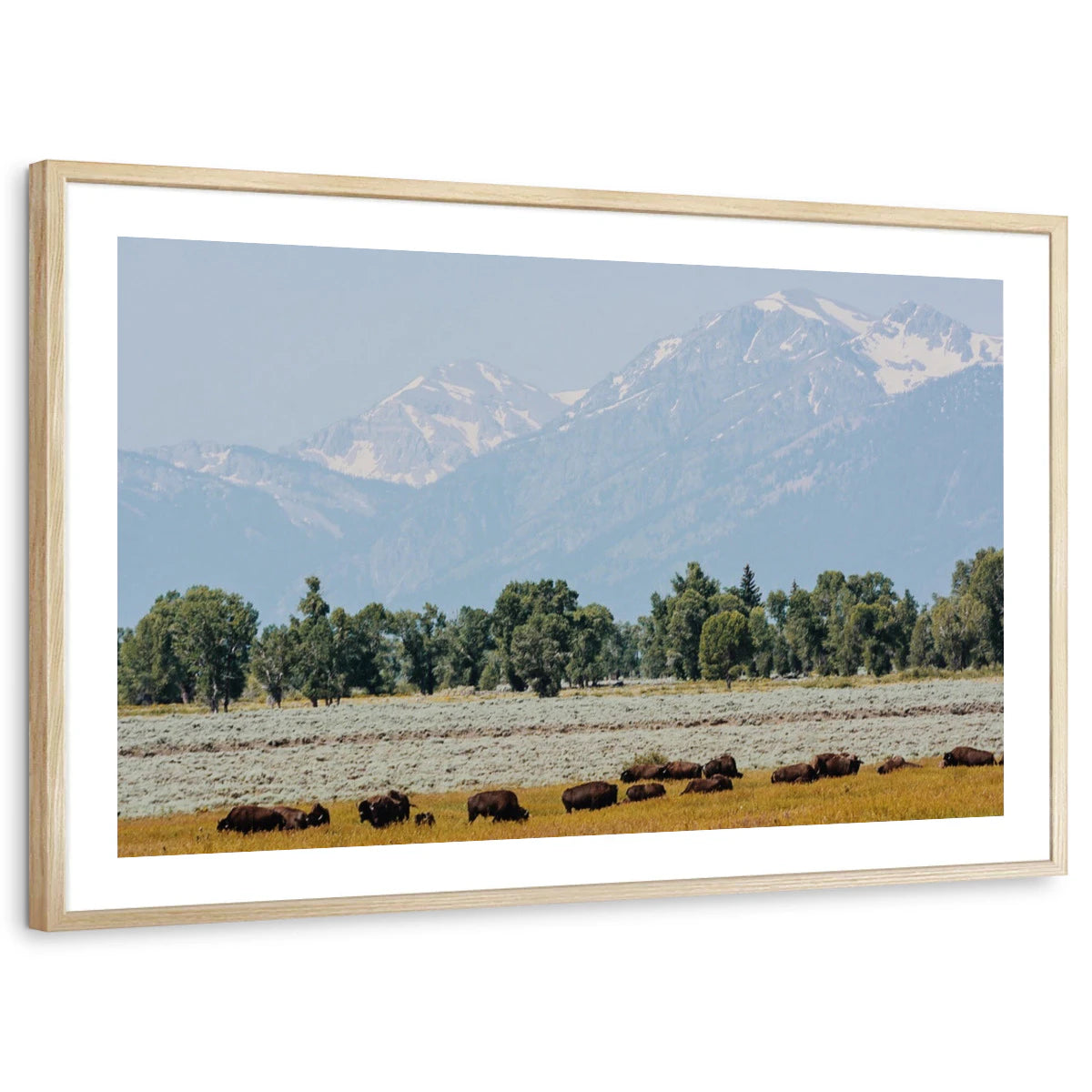 framed-print-natural-wood-white-border