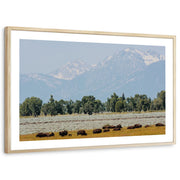 framed-print-natural-wood-white-border