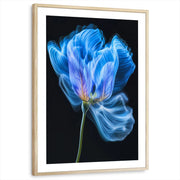 framed-print-natural-wood-white-border