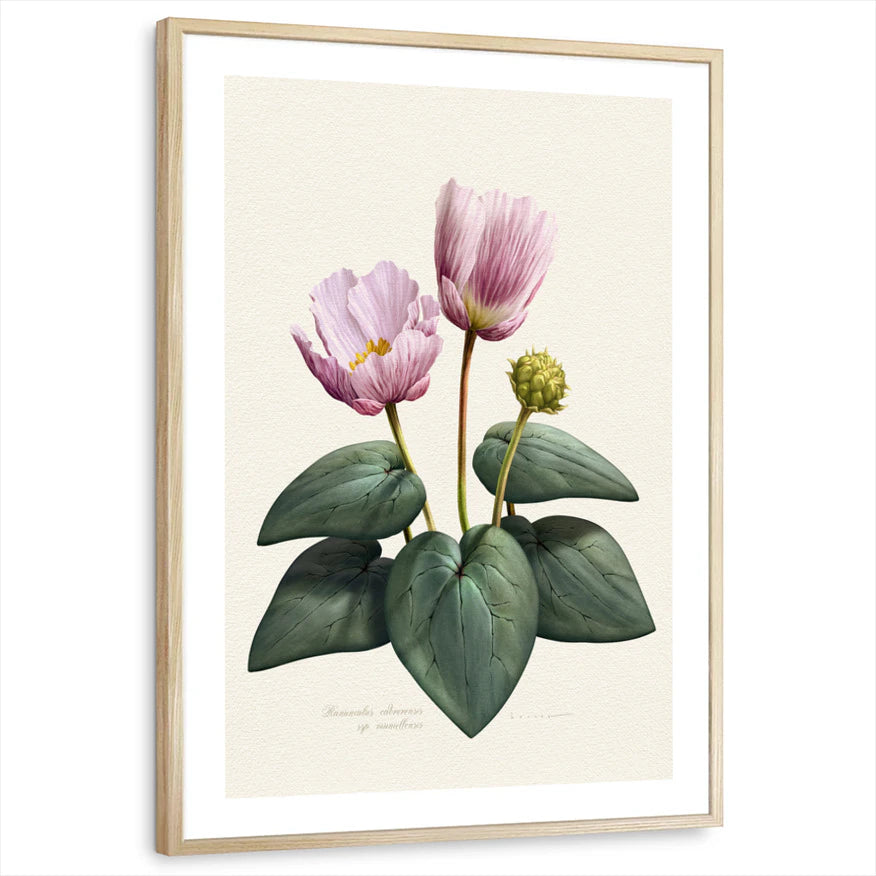 framed-print-natural-wood-white-border