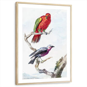framed-print-natural-wood-white-border