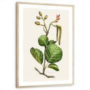 framed-print-natural-wood-white-border