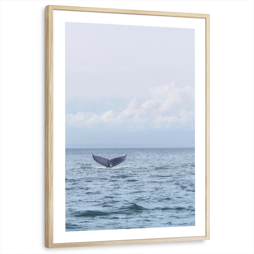 framed-print-natural-wood-white-border