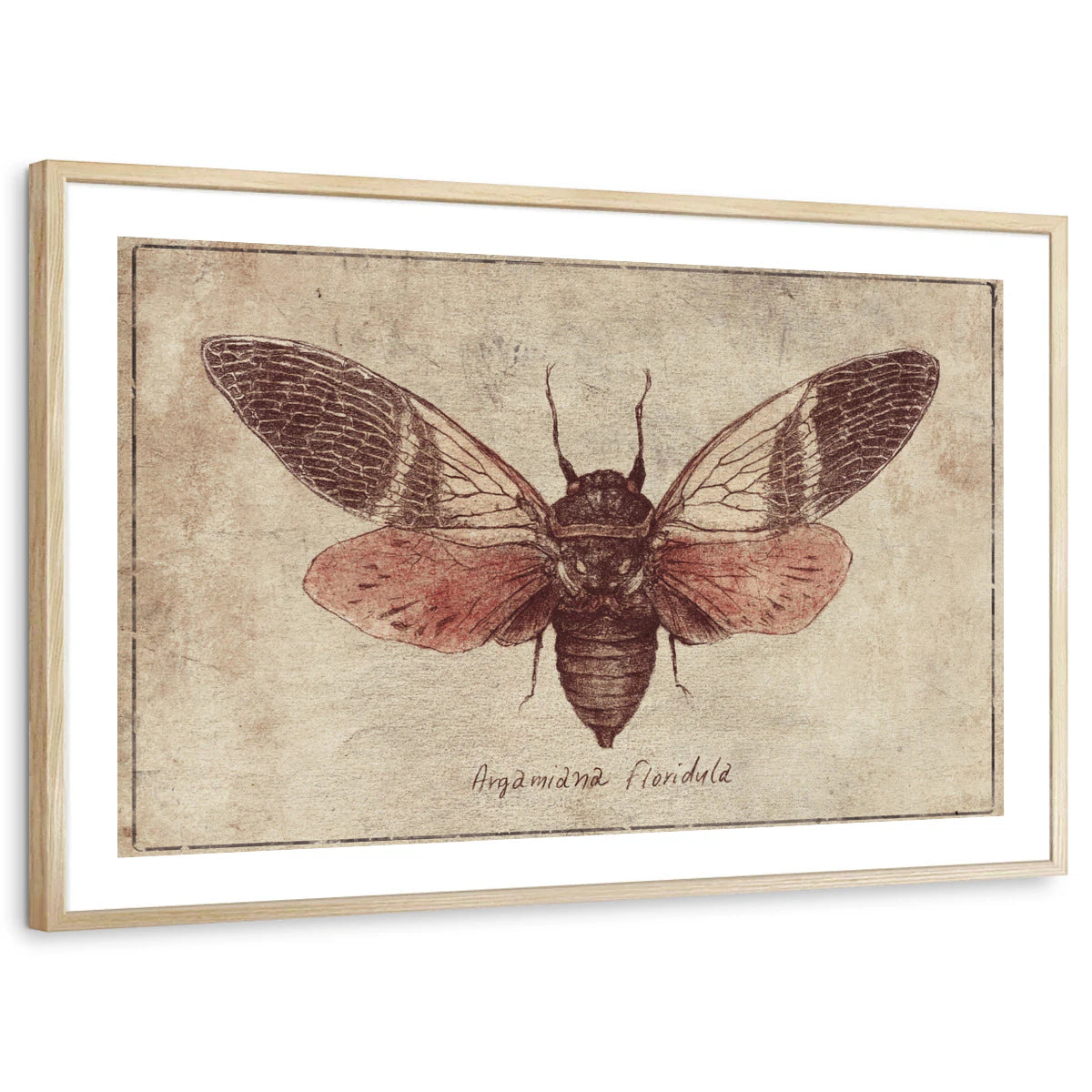 framed-print-natural-wood-white-border