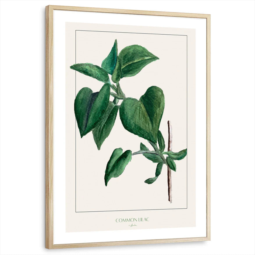 framed-print-natural-wood-white-border