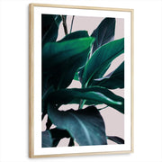 framed-print-natural-wood-white-border