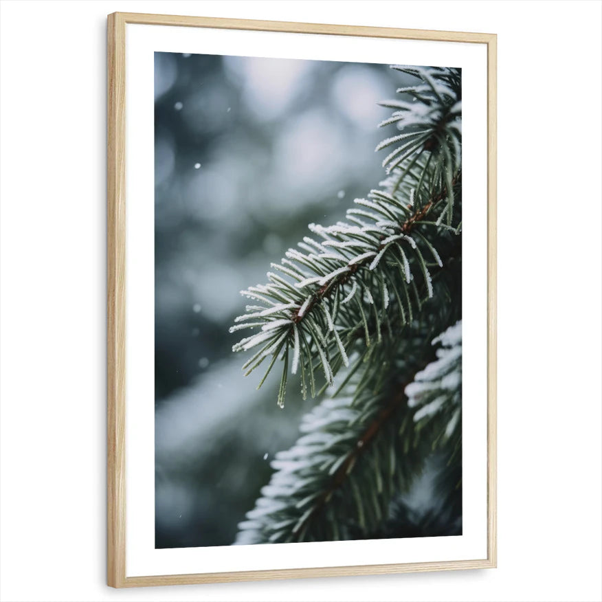 framed-print-natural-wood-white-border