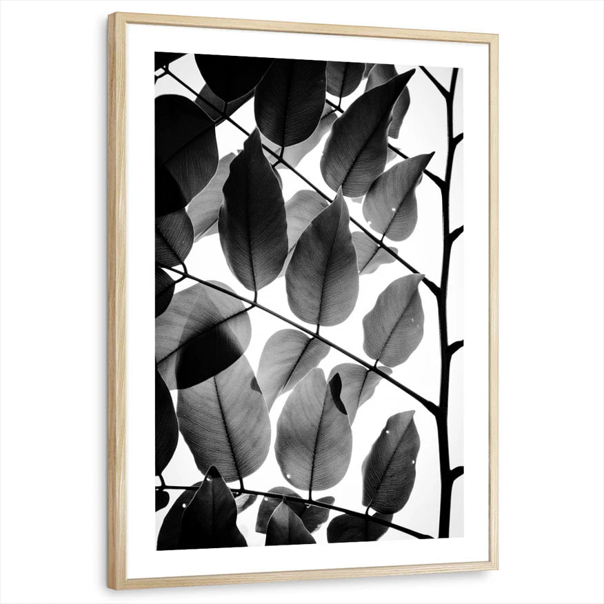 framed-print-natural-wood-white-border