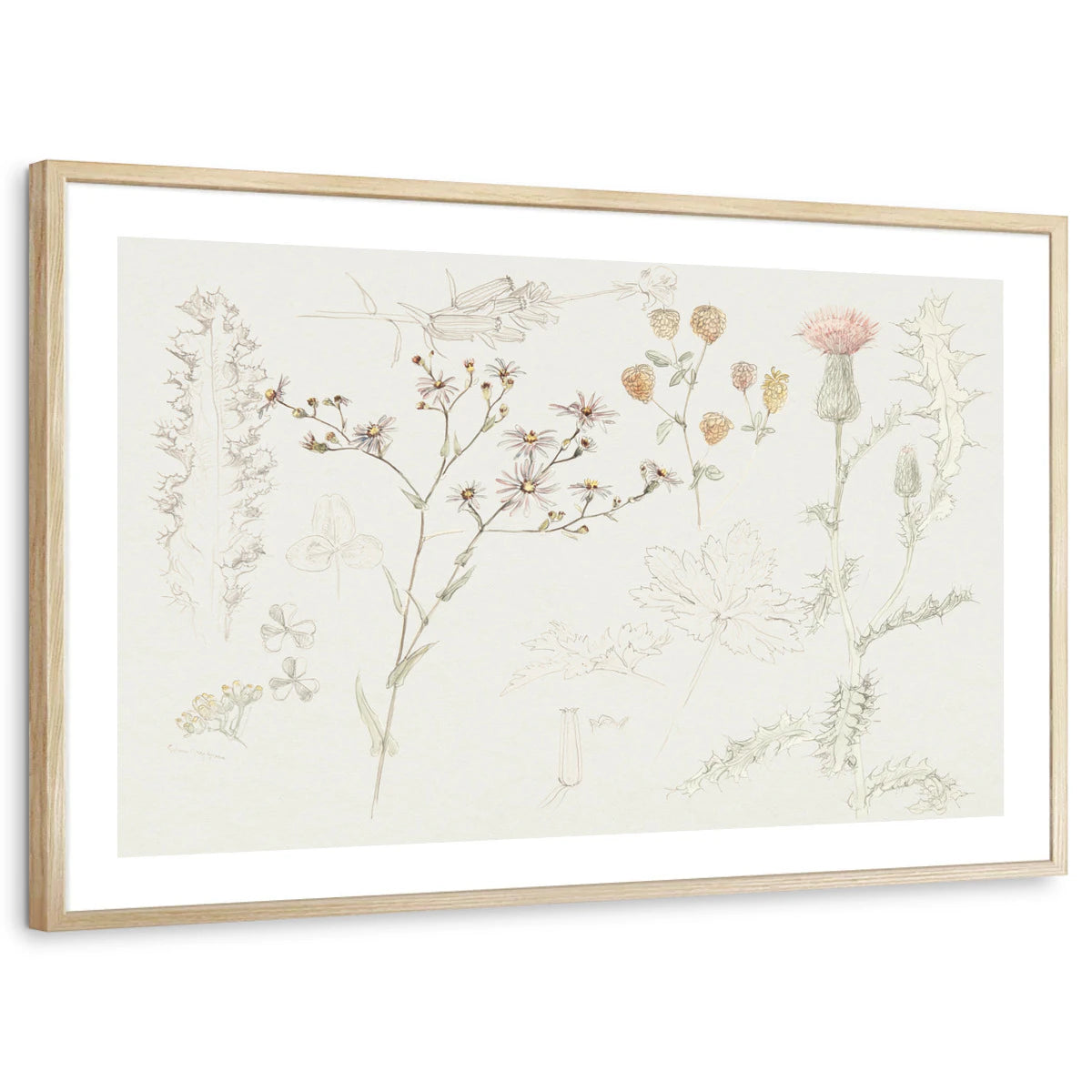 framed-print-natural-wood-white-border