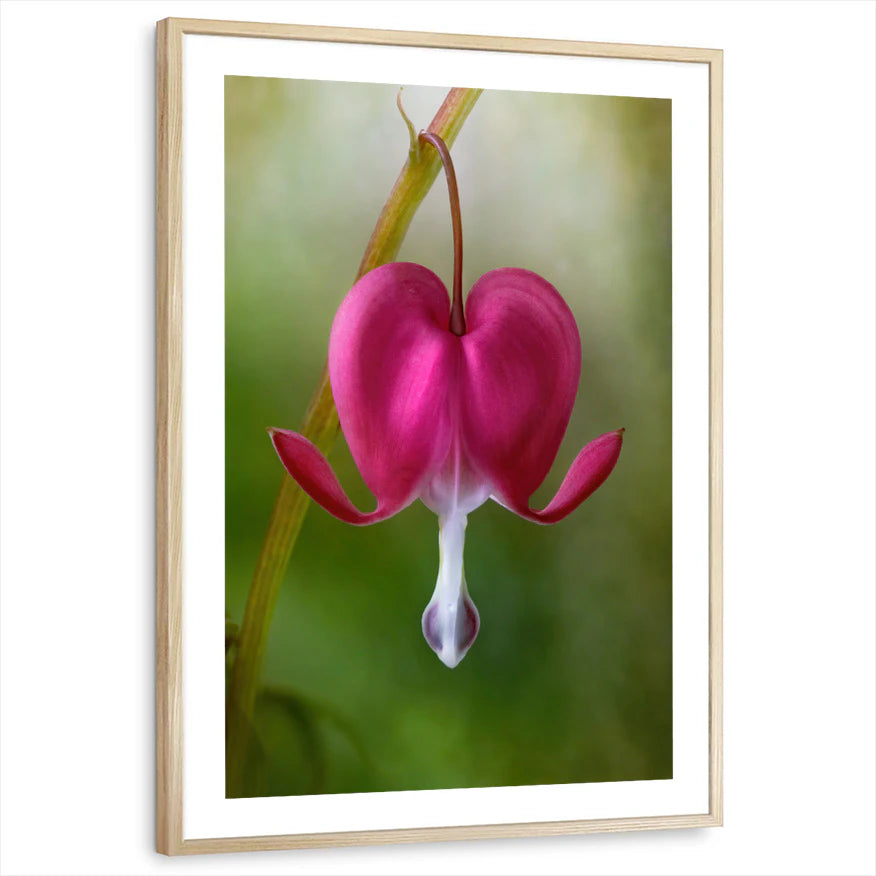 framed-print-natural-wood-white-border