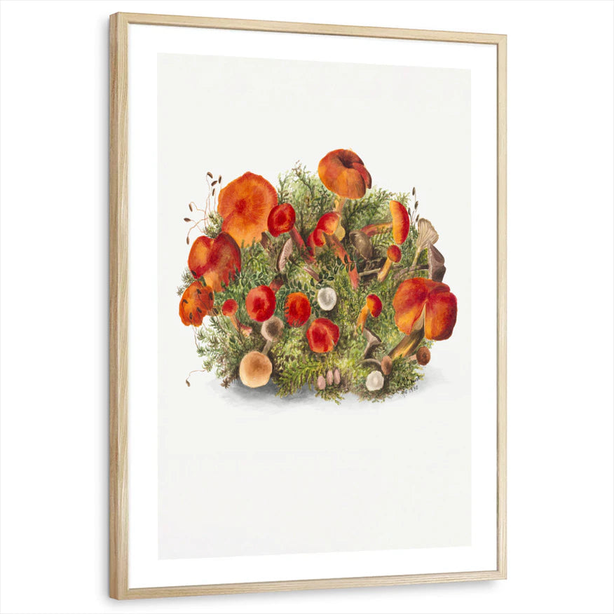 framed-print-natural-wood-white-border
