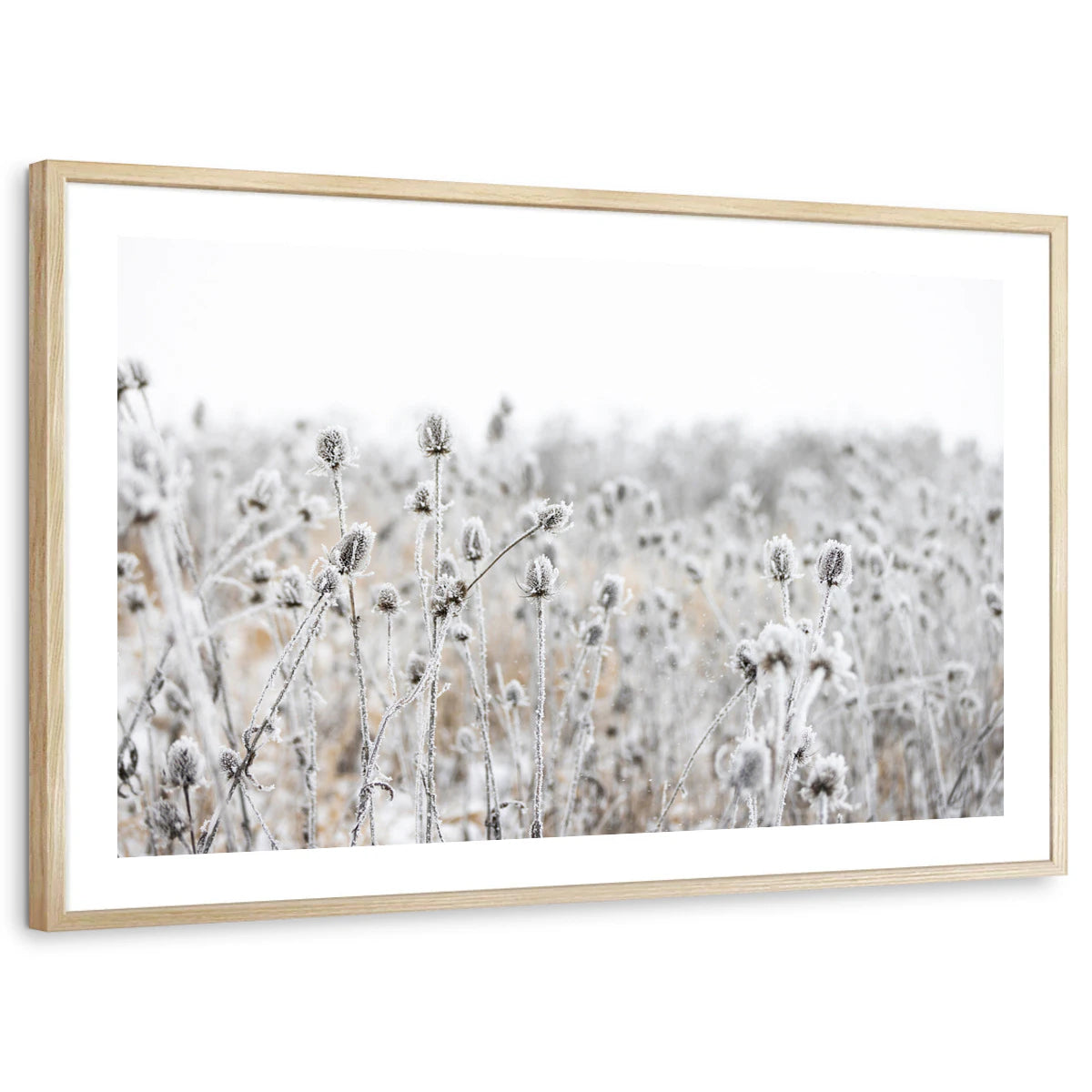 framed-print-natural-wood-white-border