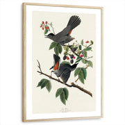 framed-print-natural-wood-white-border