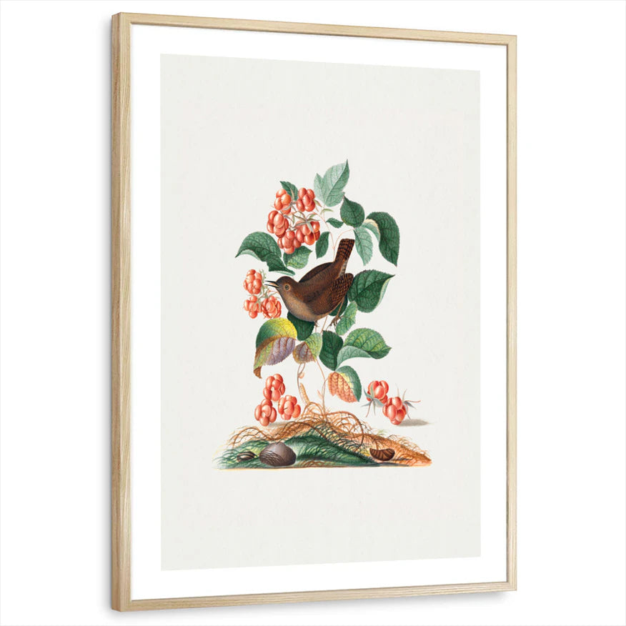 framed-print-natural-wood-white-border