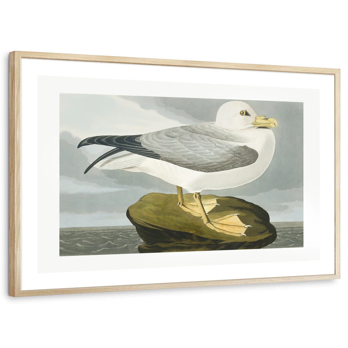 framed-print-natural-wood-white-border