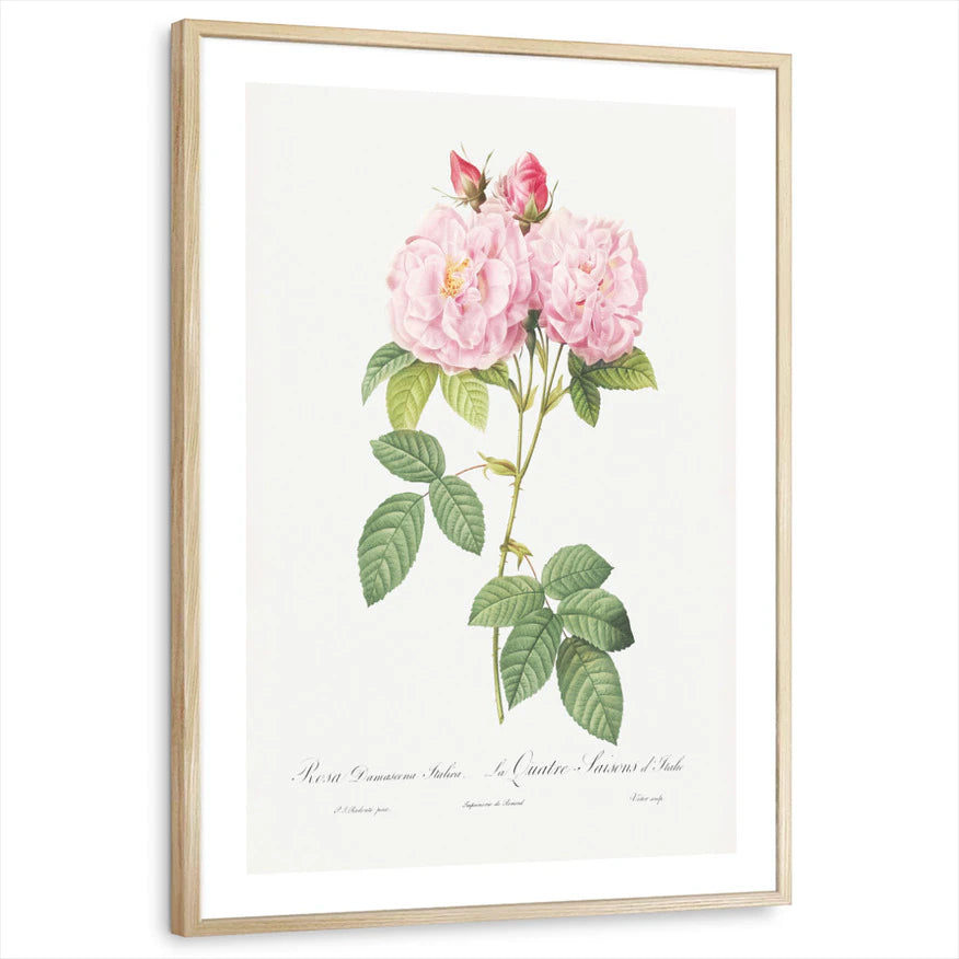 framed-print-natural-wood-white-border