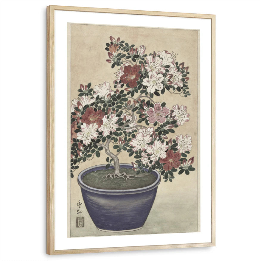 framed-print-natural-wood-white-border