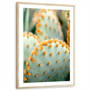 framed-print-natural-wood-white-border