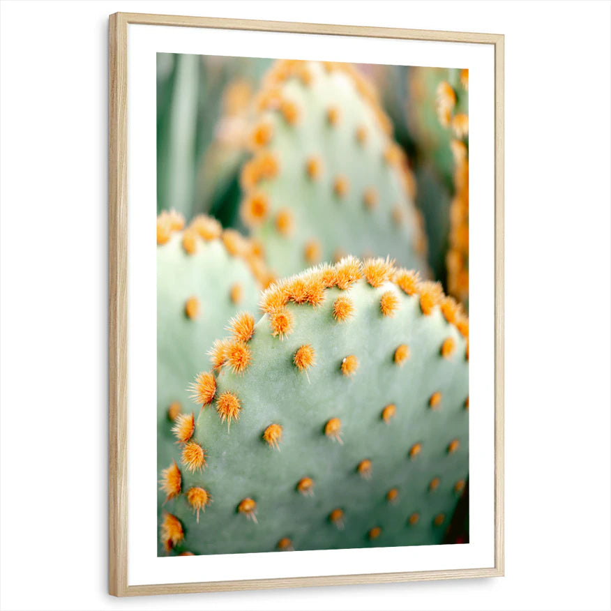 framed-print-natural-wood-white-border