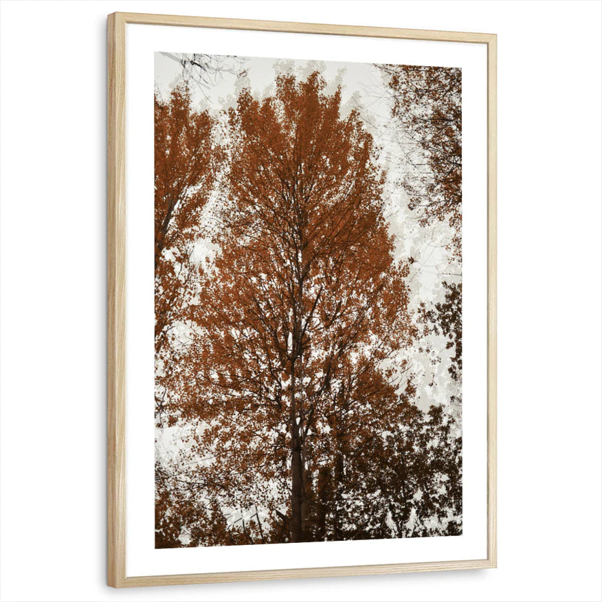 framed-print-natural-wood-white-border