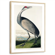 framed-print-natural-wood-white-border