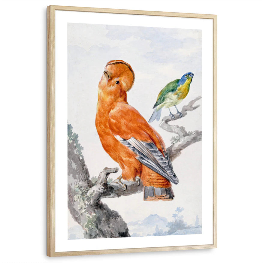 framed-print-natural-wood-white-border