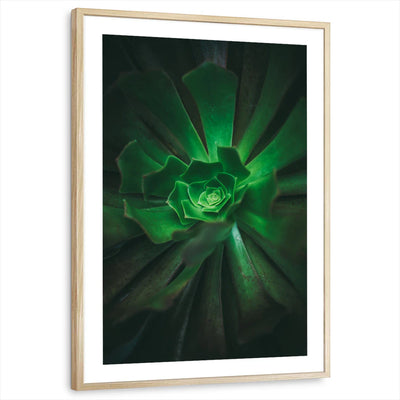 framed-print-natural-wood-white-border