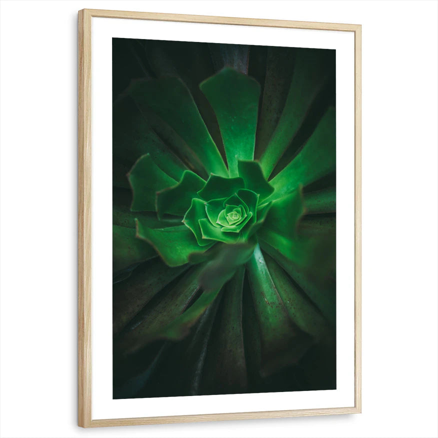 framed-print-natural-wood-white-border
