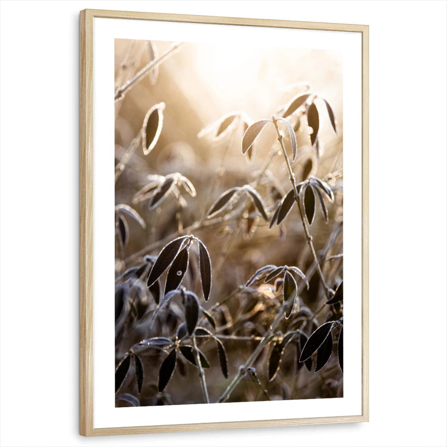 framed-print-natural-wood-white-border