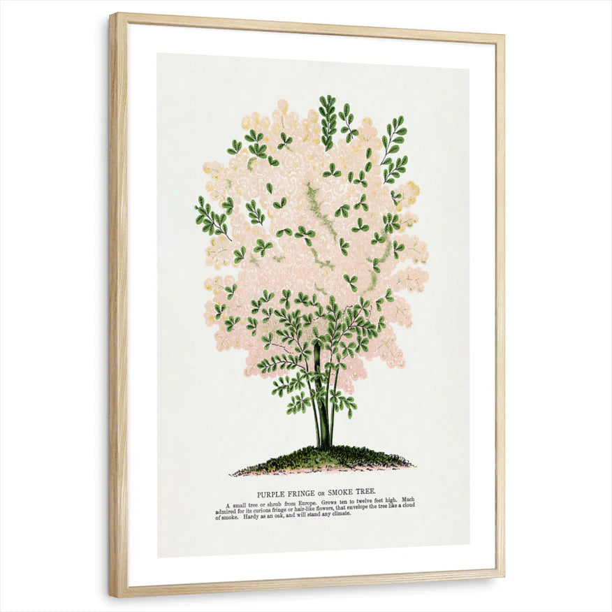 framed-print-natural-wood-white-border