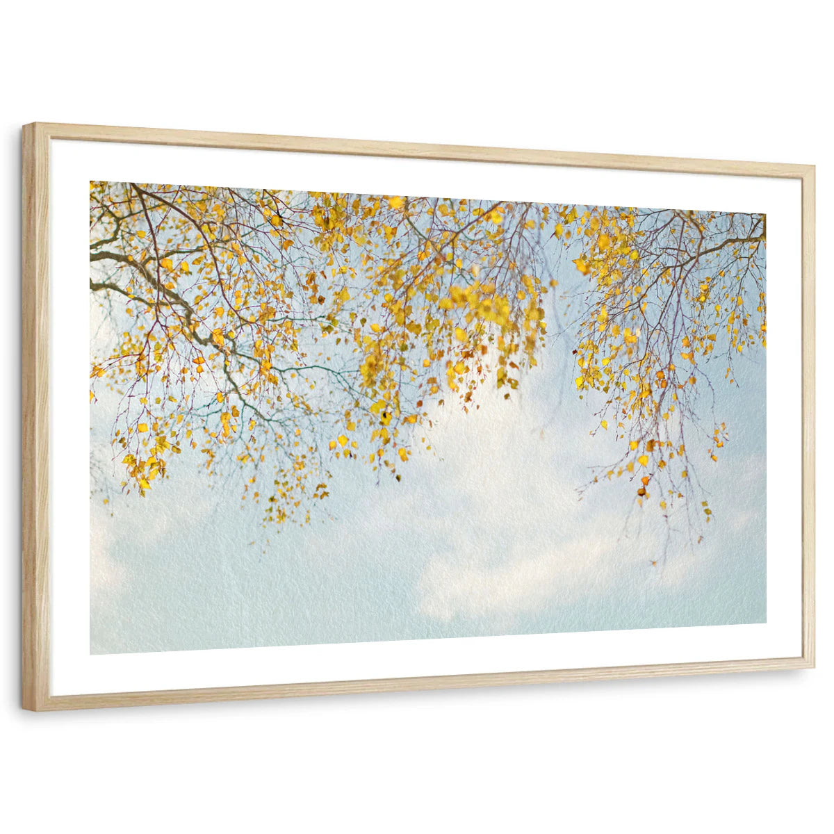 framed-print-natural-wood-white-border