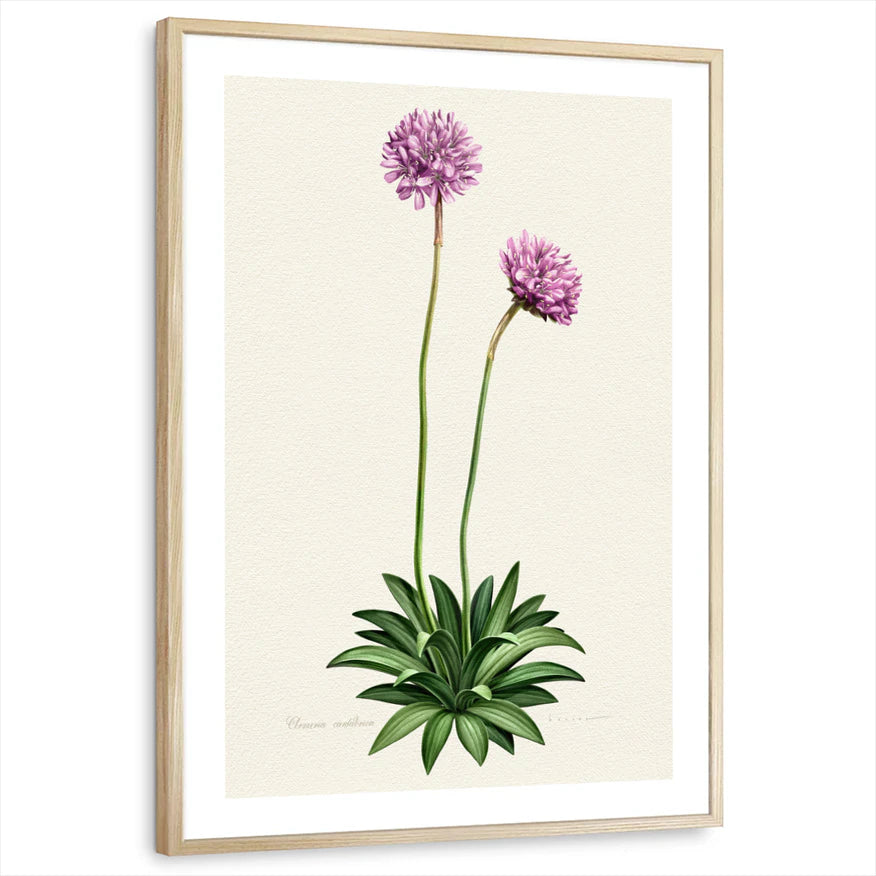 framed-print-natural-wood-white-border