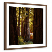 framed-print-brown-walnut-matted