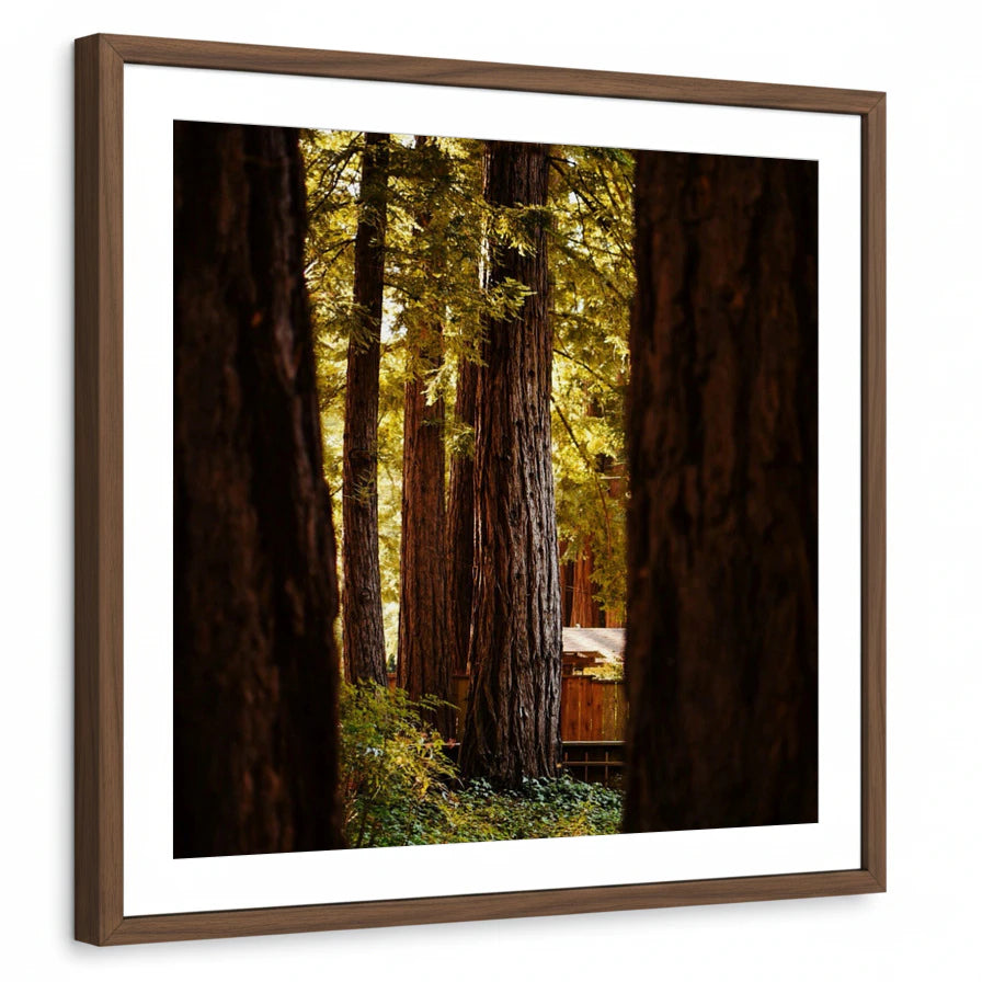 framed-print-brown-walnut-matted